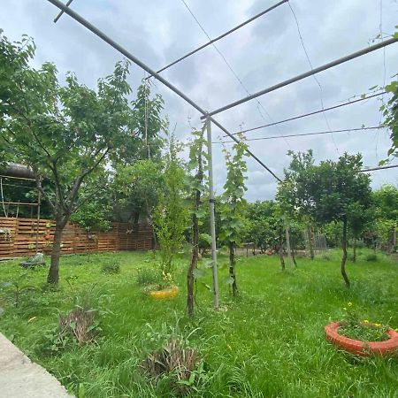 Hostel Forrest Кутаиси Экстерьер фото