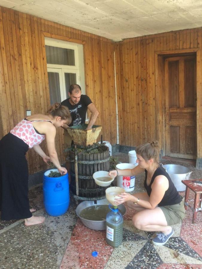 Hostel Forrest Кутаиси Экстерьер фото