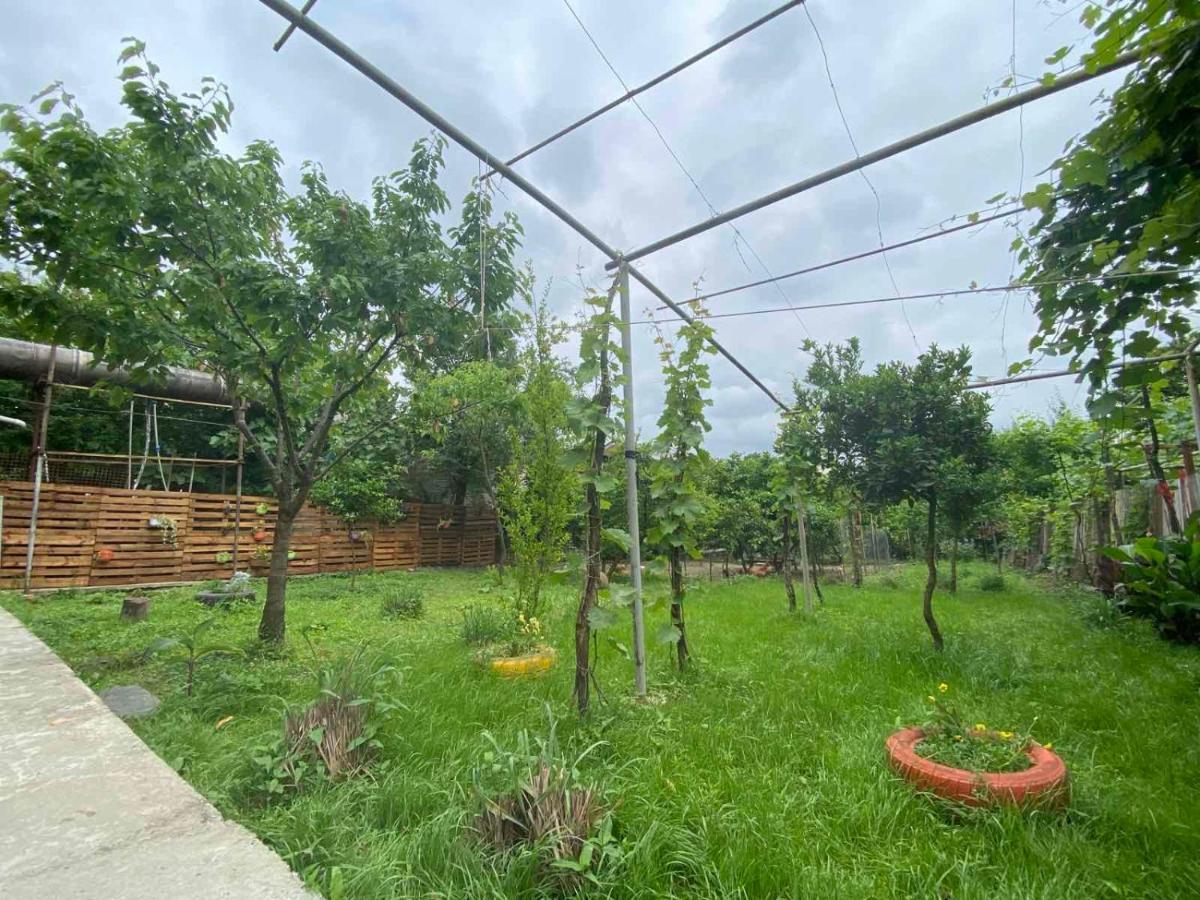 Hostel Forrest Кутаиси Экстерьер фото
